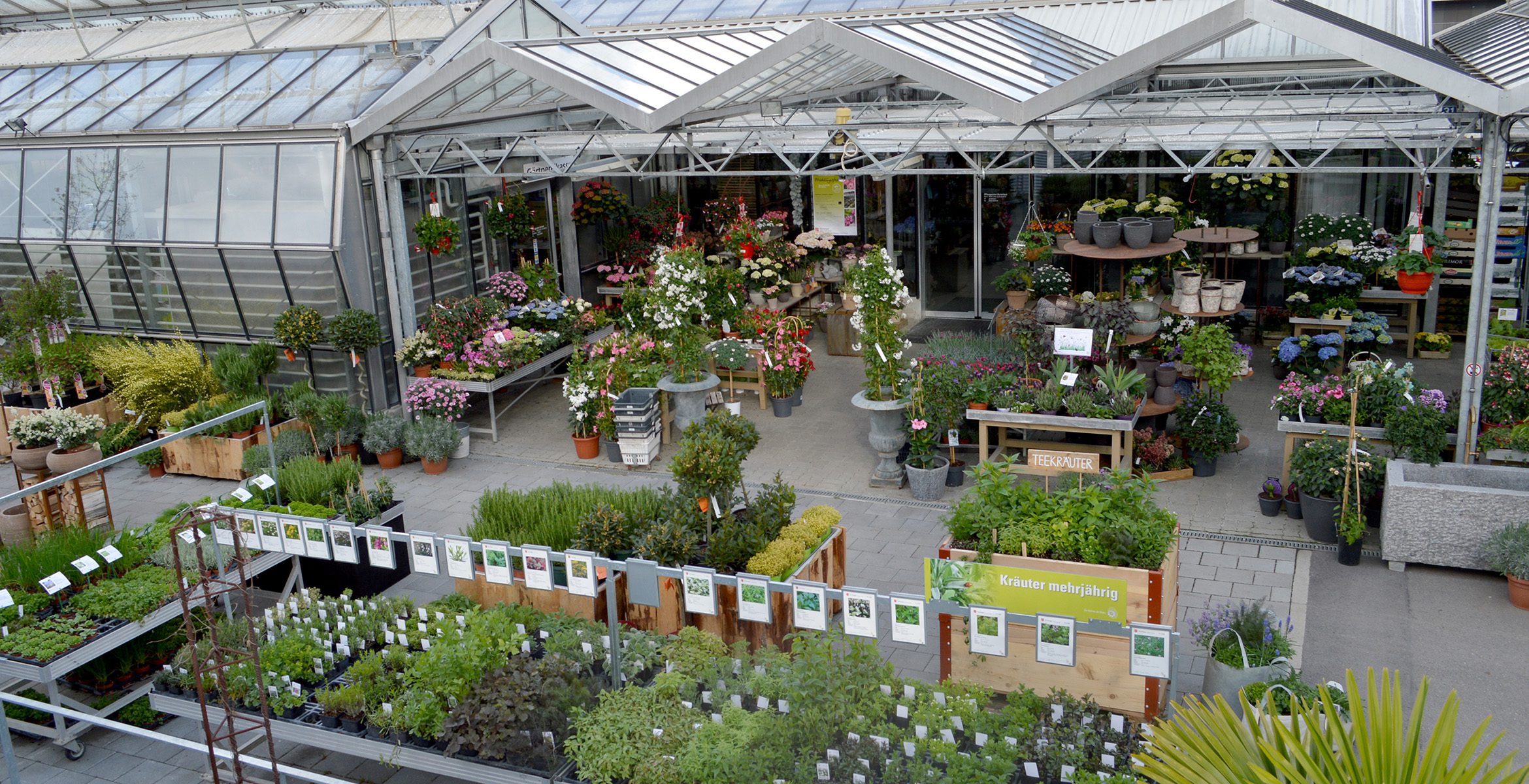 Verkauf Blumenhaus & Gärtnerei